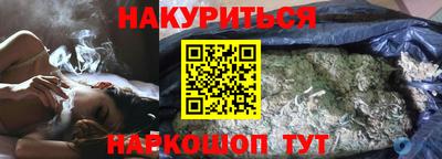 гашик Будённовск