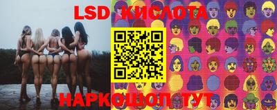 гашик Будённовск