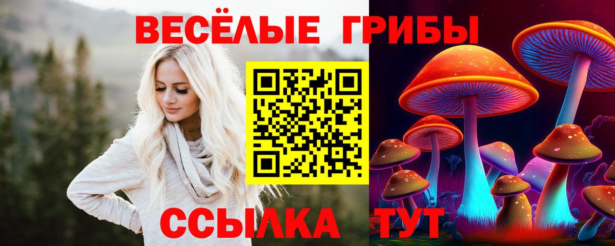 Галлюциногенные грибы мицелий  Псилоцибиновые грибы прущие грибы  Петровск  где продают   Вход с VPN 